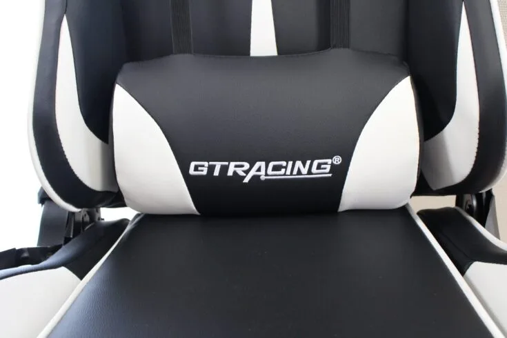GT909のランバーサポート